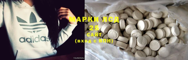 винт Алзамай