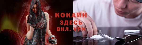 винт Алзамай