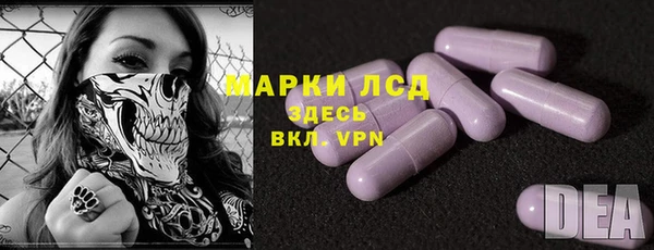 винт Алзамай